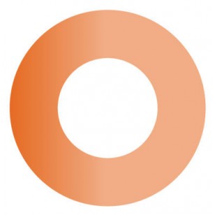 Bunion Ring - 72 pieces 